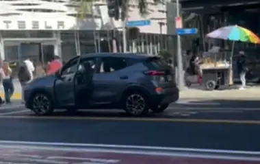 שיסה כלב בזוג יהודים בלוס אנג'לס - ושוחרר בערבות של 2,500 דולר