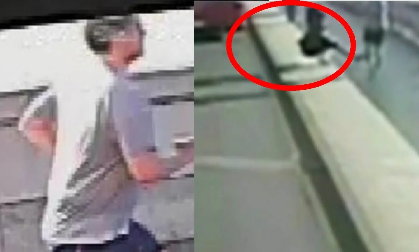 9 שנים אחרי הסרטון המטריד: בנקאי עשיר נעצר בפרשת הדחיפה לגשר