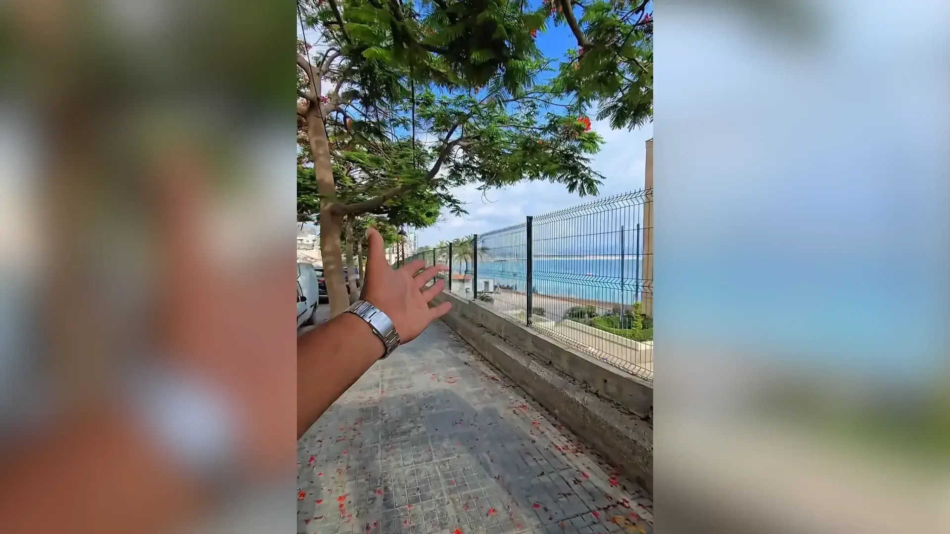 מסעדות מלאות וחופים הומים: כך נראה הדרום הלבנוני