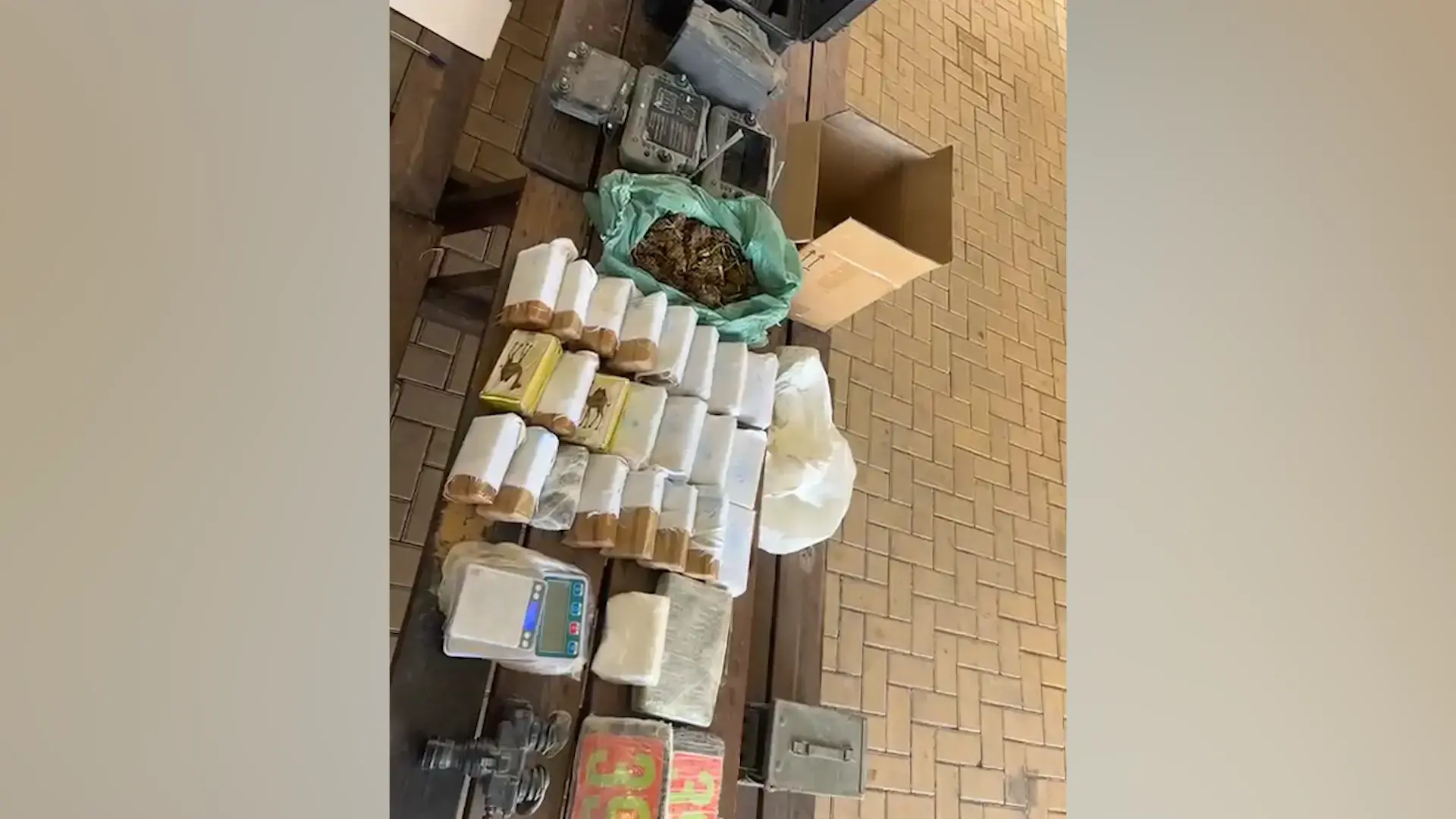 בעזרת "סקיי", הכלבה המשטרתית: קוקאין וסמים בשווי מיליוני שקלים נתפסו בדרום