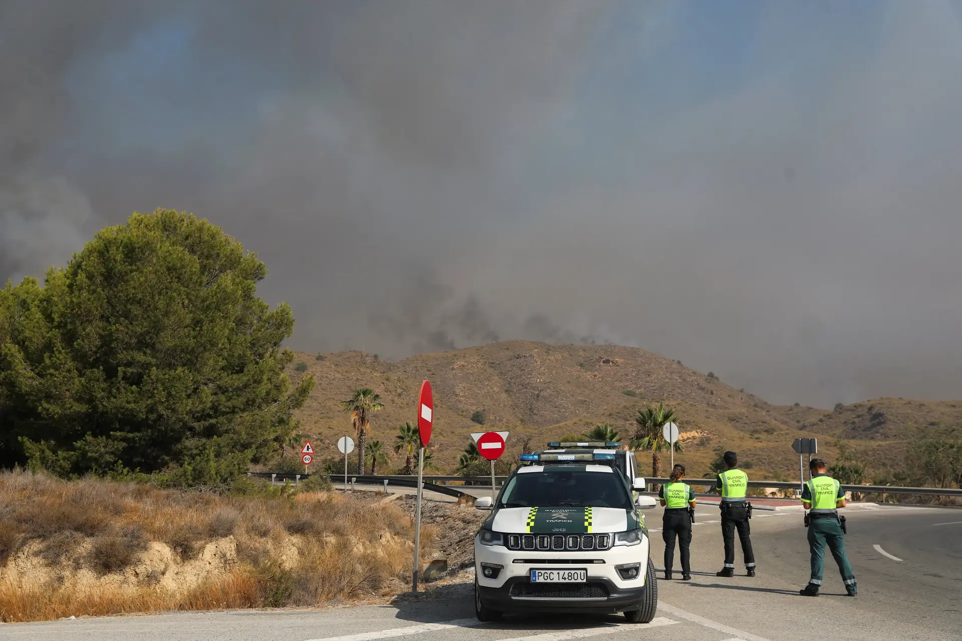 "דרך המילוט התבררה כמלכודת מוות": 12 הרוגים בשריפת ענק בדרום ספרד