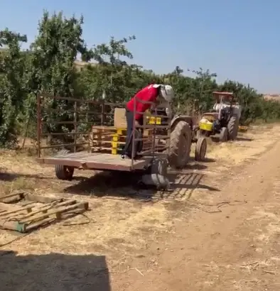 בצל התפשטות הכלבת - אירוע חריג בצפון: גירית נגועה תקפה עובד במטע | תיעוד