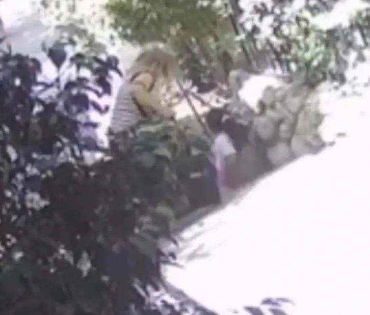 גבר נעצר בחשד ששני הכלבים שלו תקפו ילדה בת 8 וטען: "הם כלבי רחוב" | פרסום ראשון