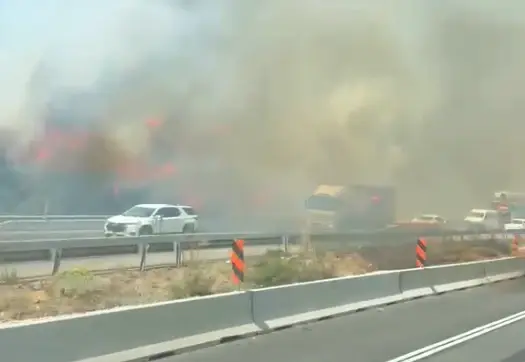שריפה פרצה בדרום הר חברון - צוותי הכיבוי בזירה השיגו שליטה על האש