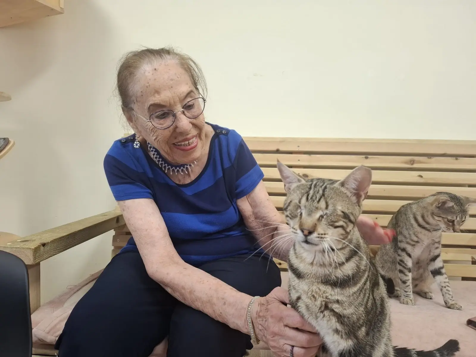 האם השכולה מצאה נחמה ביצירת תכשיטים. כעת היא מוכרת אותם כדי למצוא בית חם לחתולים