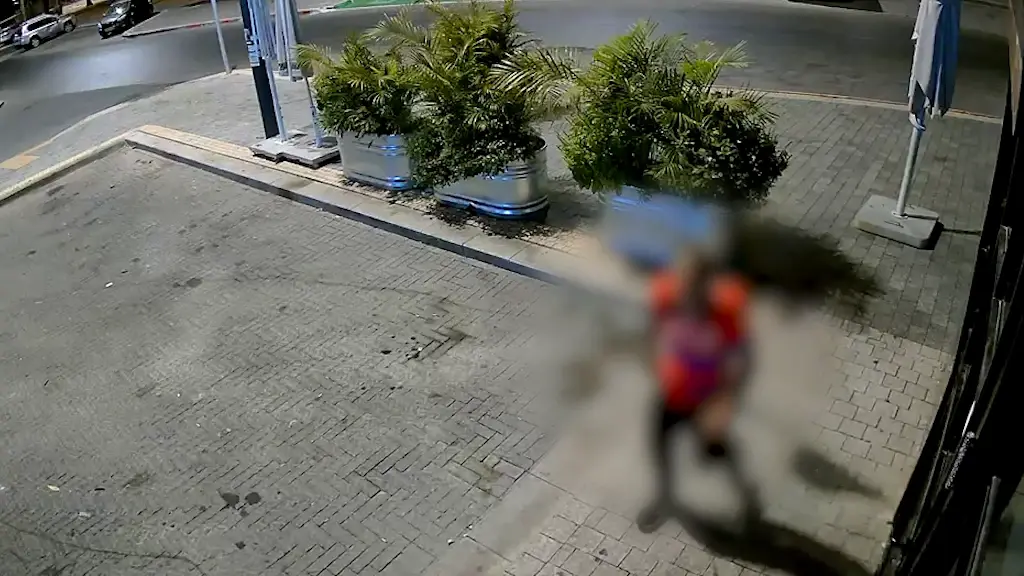 חולייה פרצה למפעל בדרום - וגנבה כספת עם צ'קים בשווי מיליוני שקלים | פרסום ראשון