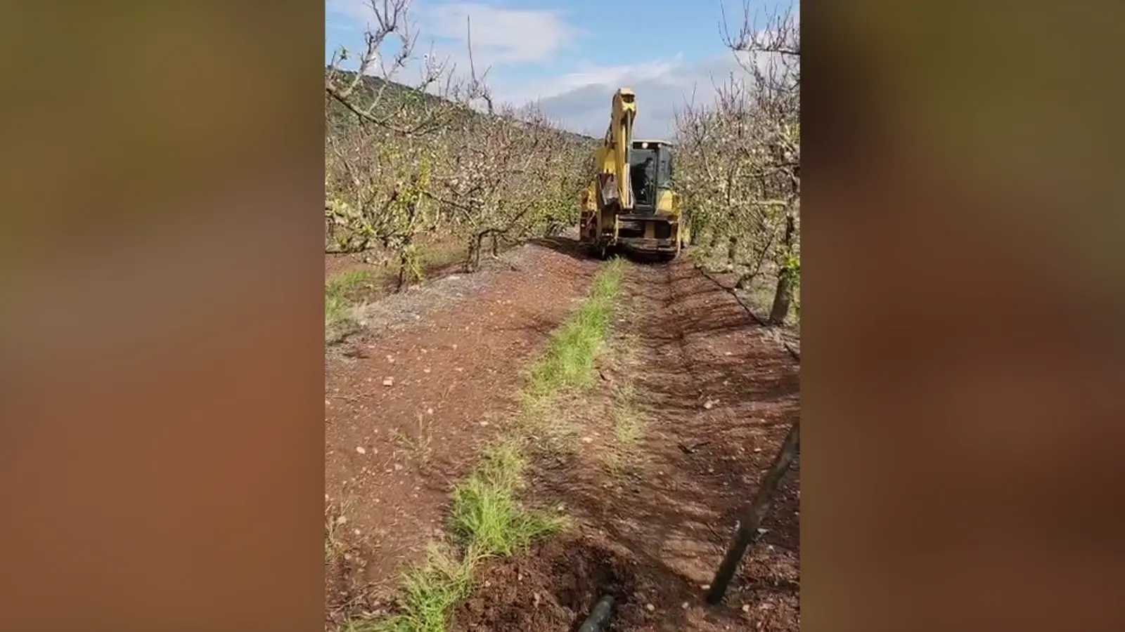 תחת סכנה מתמדת: המציאות הקשה של החקלאים בקו העימות