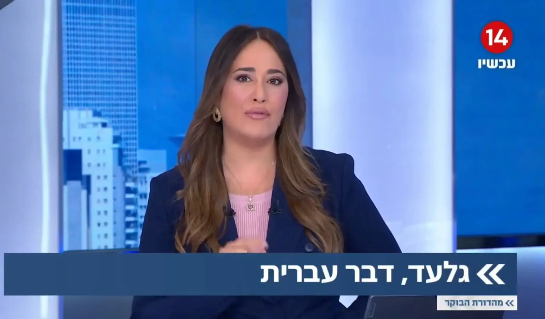 ערוץ 14 קובע שיא חדש: הפעם זה הרבה יותר מפייק ניוז