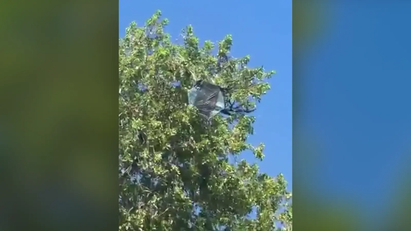 כ"ץ: "האולטימטום שהצבנו הסתיים - כל שיגור בלונים ועפיפונים מעזה ייענה בתגובה קשה"