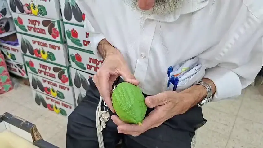 זמן שמחתנו: הסיפור היהודי כולו בתוך סוכה אחת