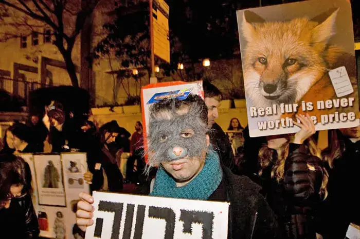 פעילי זכויות בע"ח: "פרווה זה רצח"