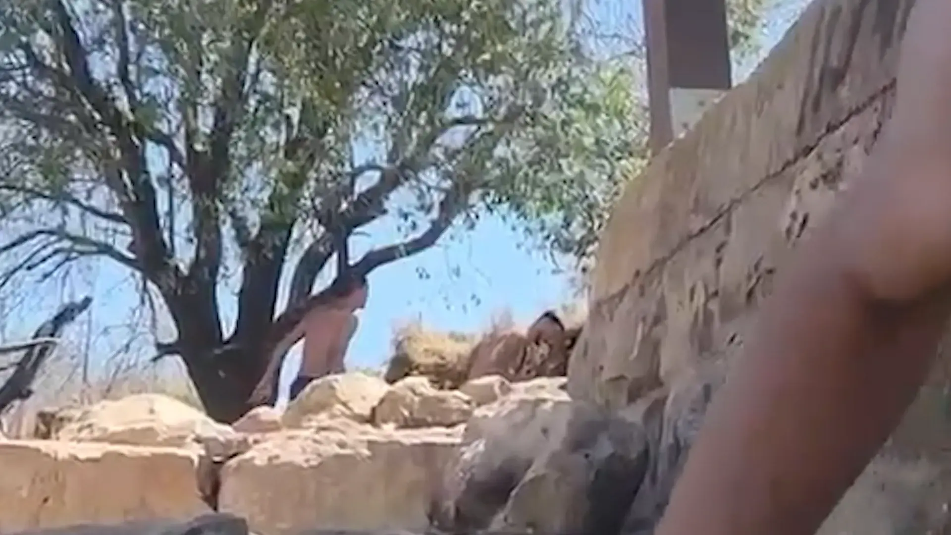 בצה"ל ממליצים: ליישם את מודל עלי טאהר בלב עזה ולפרק את מעוז חמאס