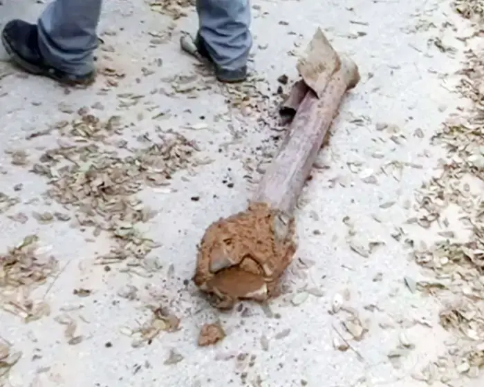2 רקטות קסאם נחתו בשדרות 