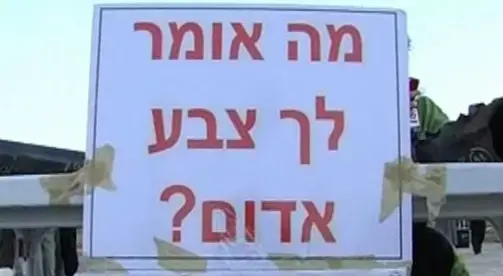 הישרדות בשדרות