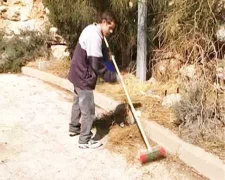 התלמידים החליפו את עובדי הקבלן