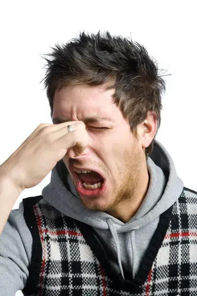 מחקר: גזי מעיים שומרים על לחץ דם תקין