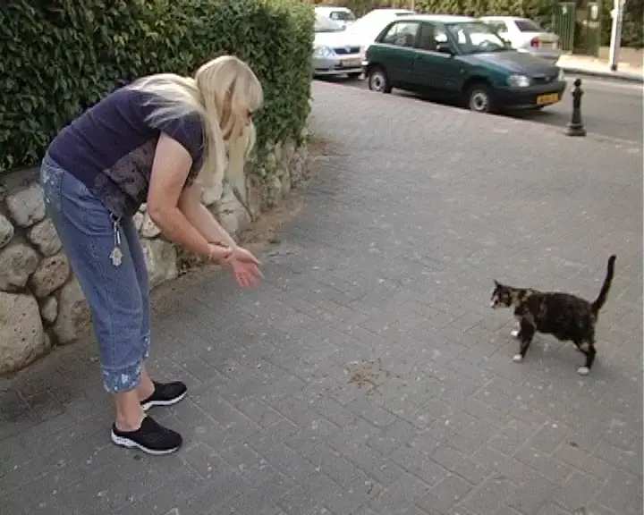 הכן את חיית המחמד לשרב