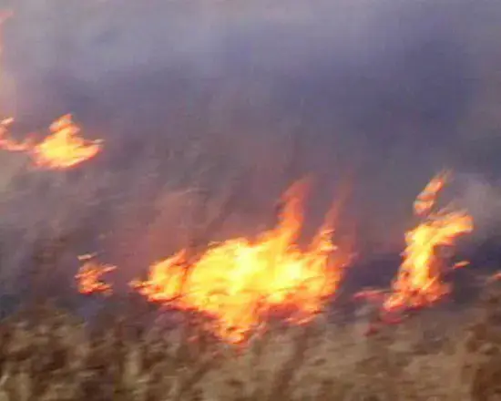 השרב עדיין איתנו: גל שריפות ברחבי הארץ