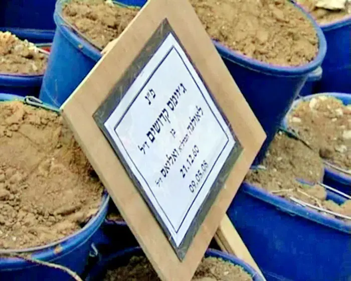 הובא למנוחות ג'ימי קדושים שנהרג מפצמ"ר