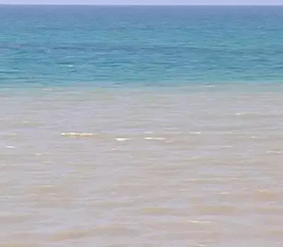 כתם חום מרחיק מתרחצים מחופי תל אביב