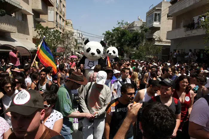 הקהילה הגאה צועדת וחוטפת מכות