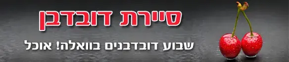 ניסיון