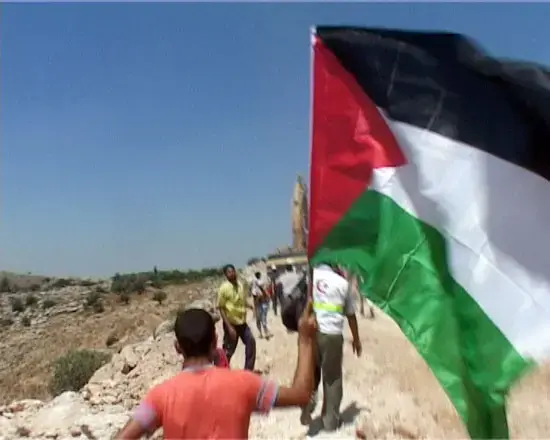 פעילי שמאל מנעו את בניית הגדר בניעלין