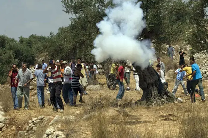 מפגינים בניעלין: "פצוע מירי חי של צה"ל"