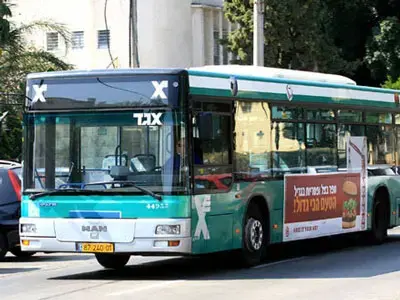 בתולים והעיר הגדולה