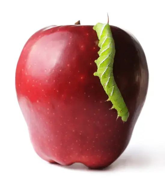 שאלת היום: יש תקוה לתשס"ט?