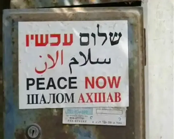 "גידול של 60% בבנייה בהתנחלויות"