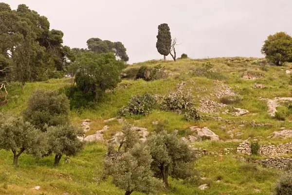תודה על כל מה שבראת - חלק שני