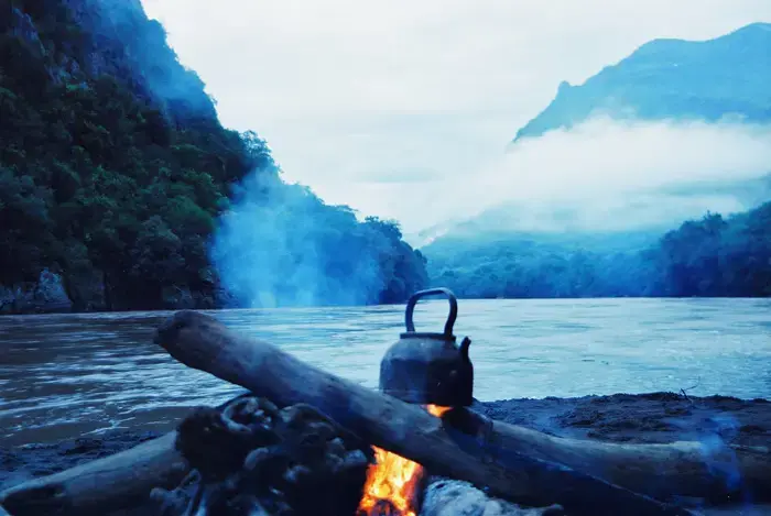 מולדת הקפה