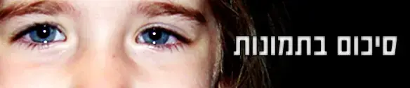 תשס"ח דרך עדשת המצלמה
