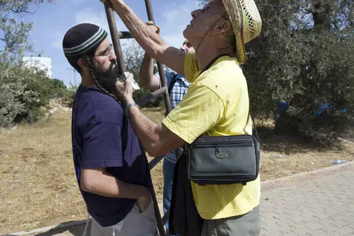 מתנחלים התעמתו עם אנשי שמאל במסיק זיתים