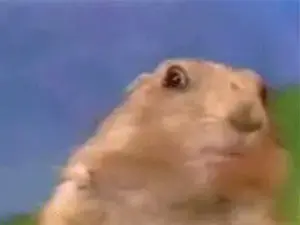 עולים על סרטון