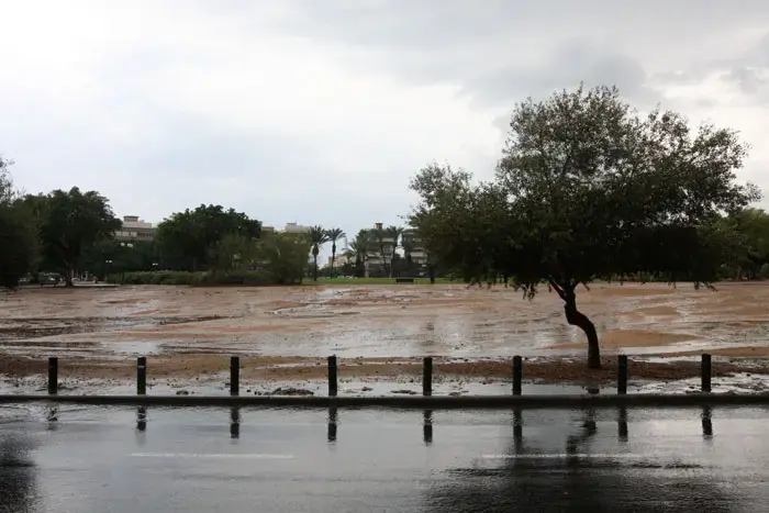החקלאים חוששים: החורף הסוער יגרור נזקים