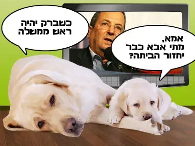 קרציה