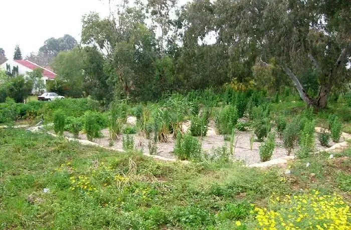 חברה לטיהור שפכים