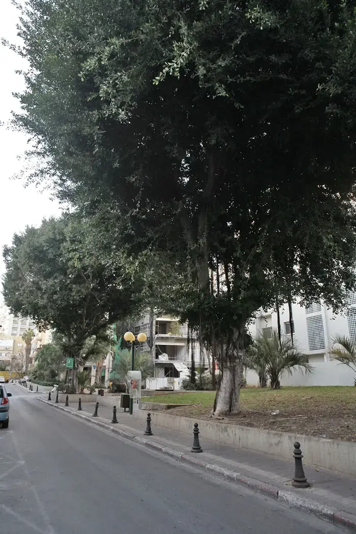 נוטשים את תל אביב