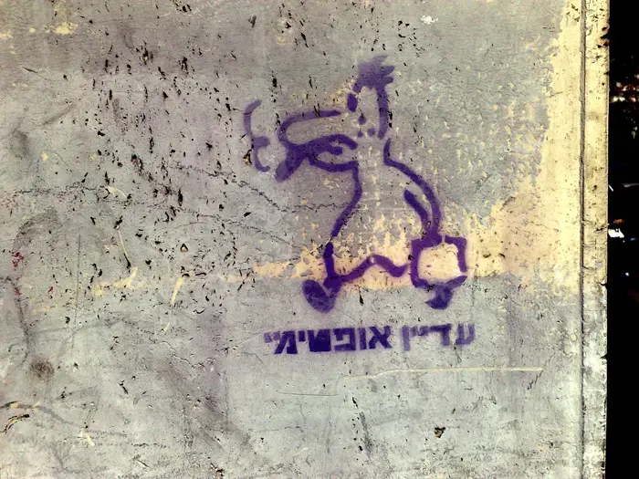הברווז עדיין אופטימי