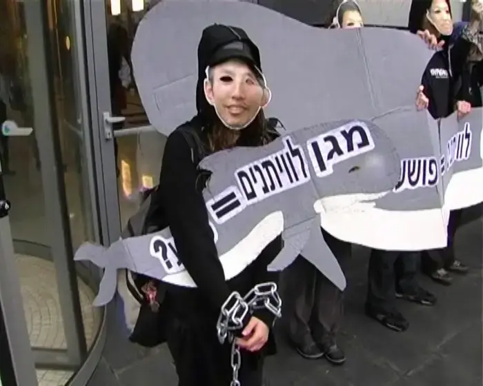 המחאה נגד ציד לוויתנים הגיעה לישראל