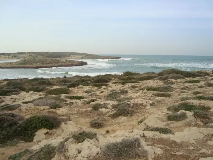 חוף הבונים עדיין בסכנה