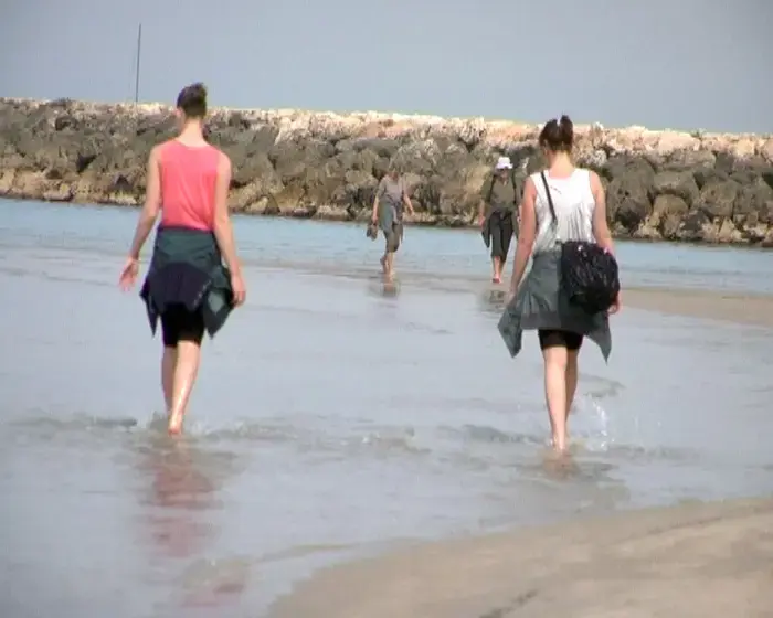 הזיהום בחופי ת"א לא הפחיד את המתרחצים