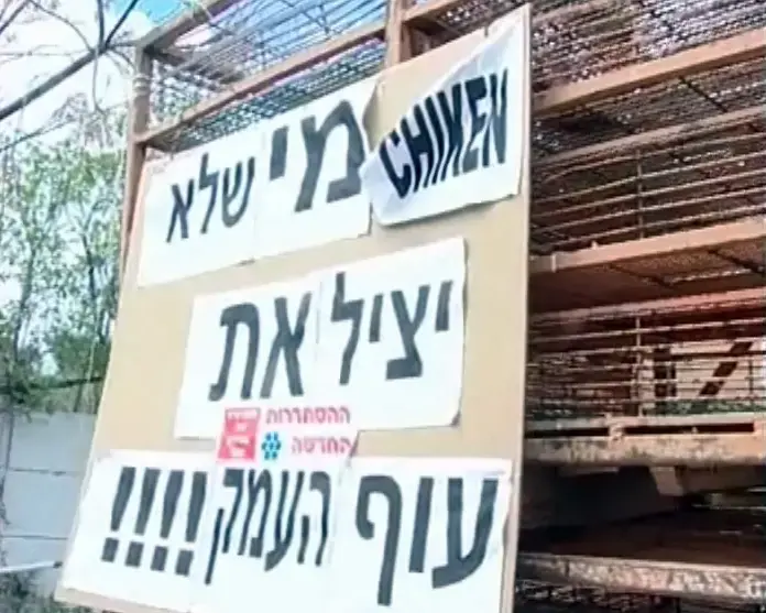 רמי לוי הגיש הצעה לרכישת "עוף העמק"