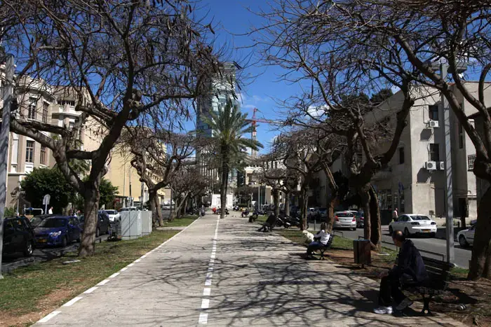 לצד המחאה: תוכנית לצמצום מספר הדירות בשד' רוטשילד