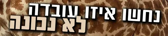 האלופות בבעיטות