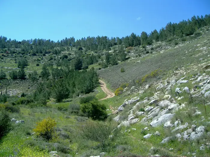 נמשך המאבק על תוואי רכבת י-ם - ת"א