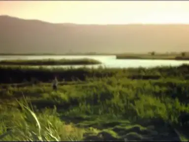 ארז סוטו - "כל האנשים"