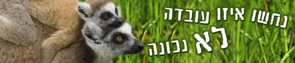 בוא למור שלום